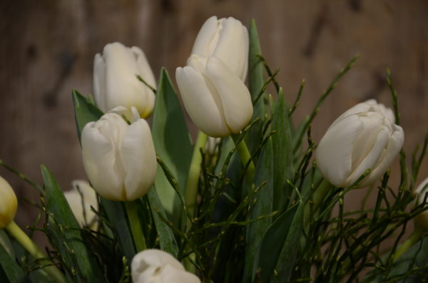 Tulpenstrauß Mant Blanc – Bild 2